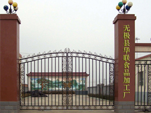 Wuji Hualian food processing factory